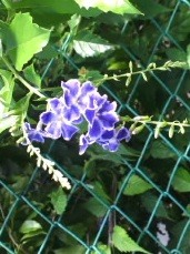 20121020_02.jpg