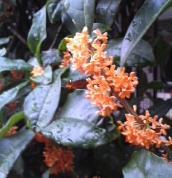 20121027_01.jpg