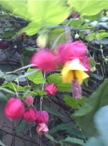 m_20121110_01.jpg
