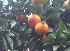 m_20121229_01.jpg