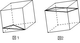 m_20130413_02.jpg