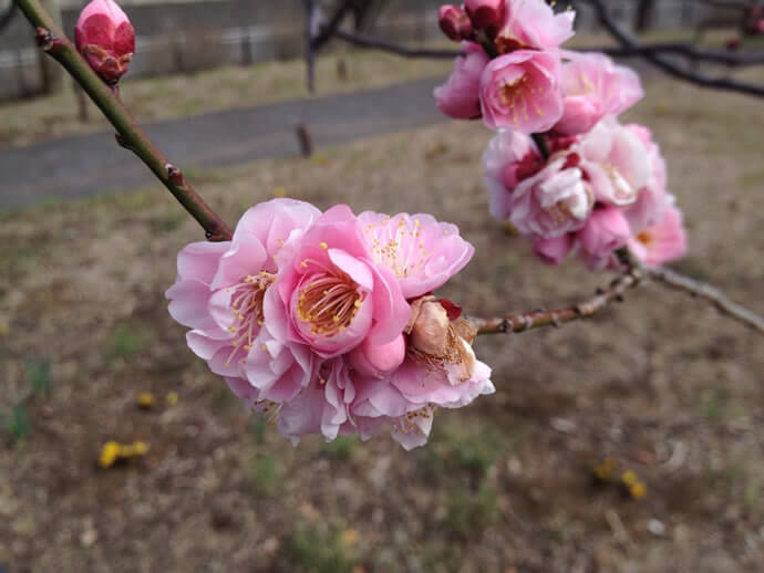 20160309103044.jpg