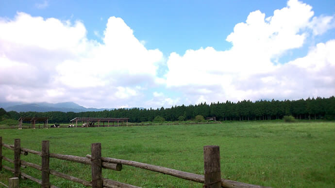 C53034045.jpg