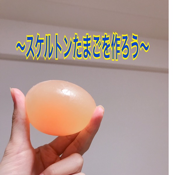 に 卵 を つける 酢