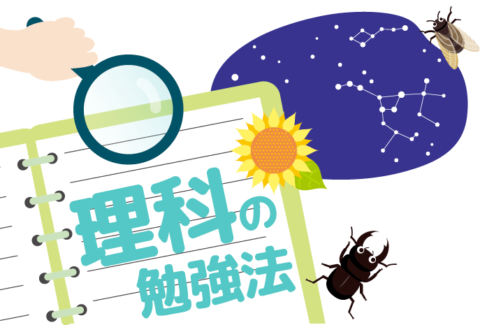 中学受験での理科の勉強法 問題傾向や暗記物の覚え方を公開 中学受験情報局 かしこい塾の使い方