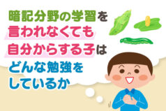 暗記分野の学習を「言われなくても自分からする子」はどんな勉強をしているか